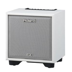 Roland CM 110 WH Cube Monitor